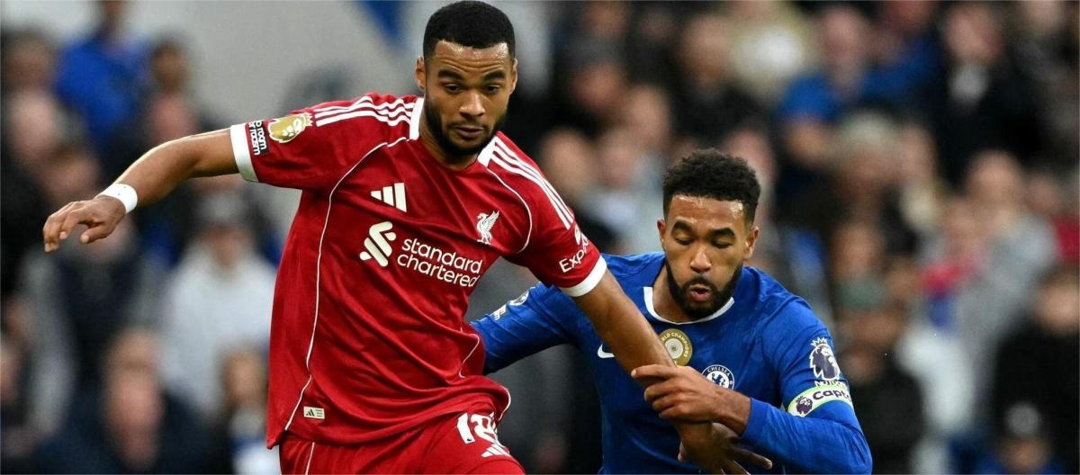 Liverpool suffered two consecutive defeats. Gakpo: We must keep our heads up and keep fighting.