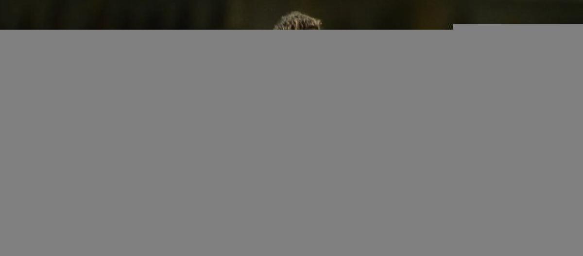 范欣克尔自宣退役：为过去感到骄傲，也准备好迎接新的篇章