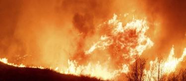 洛杉矶野火肆虐，Riot Games关闭办公室并承诺支持受灾社区