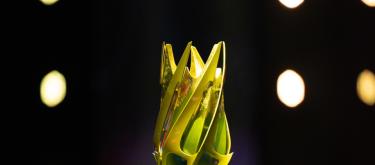 Official: PGL Belgrade will be moved to Bucharest in 2025