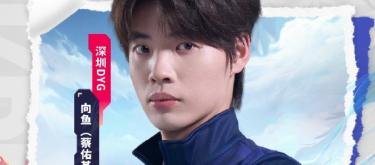 向鱼达成KPL赛场第4000次助攻成就